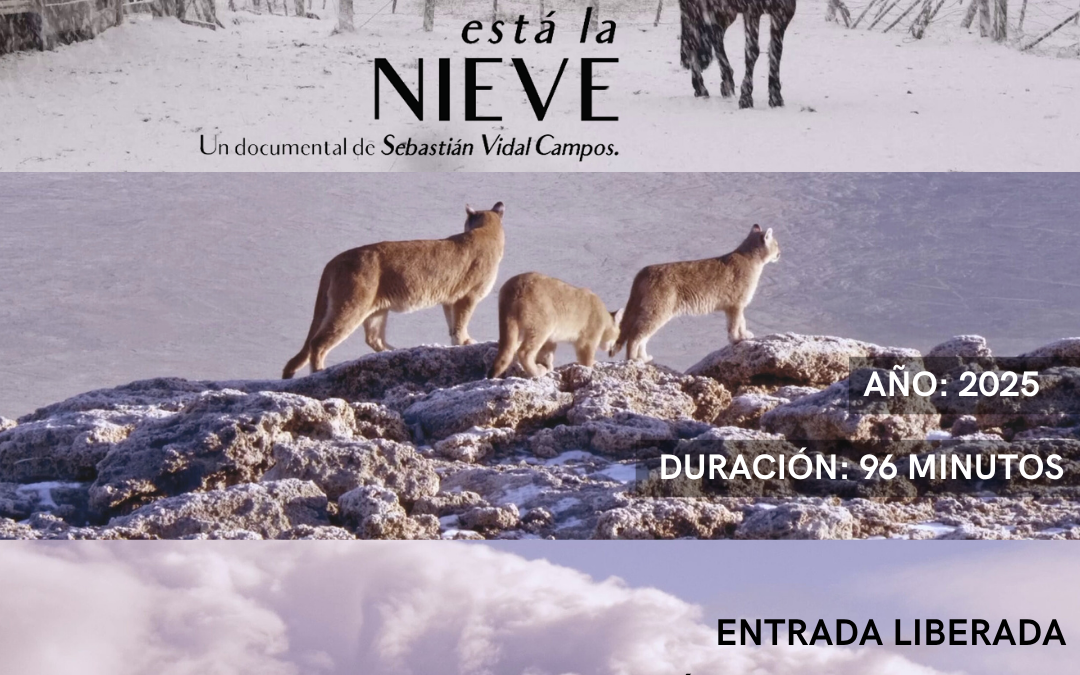 Nueva jornada del pre-lanzamiento del Ciclo de Cine Ecológico del CEAM-UACh