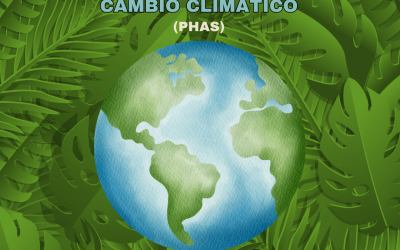 Postula al Programa de Honor 2026